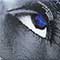 Horslips - The Book Of Invasions; A Celtic Symphony