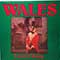The Newport Male Voice Choir - Wales; Land Of Song