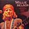 Willie Nelson - A Song For You