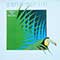 Yana Purim - Bird Of Brazil