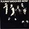 Flamin' Groovies - Now