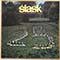 Slask - The Polish Song and Dance Ensemble Vol. 9 (25 Lat)