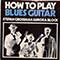 Stefan Grossman, Aurora Block - How To Play Blues Guitar